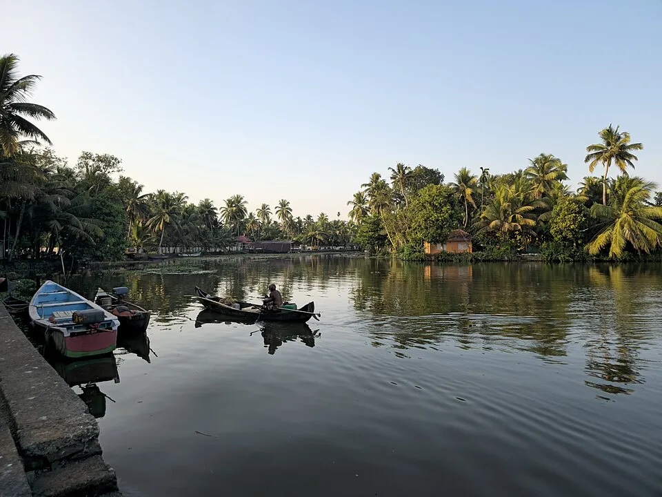 Boats and coconut palms beside the Kumarakom backwaters
